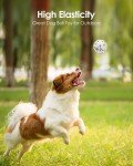 Durable Dog Balls for Aggressive Chewers