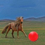 Large Anti-Burst Horse Exercise Ball Toy