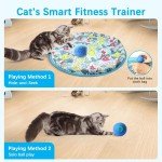 Interactive Rolling Ball Toy for Dogs