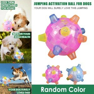 LED Flashing Dance Ball for Active Dogs