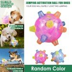 LED Flashing Dance Ball for Active Dogs