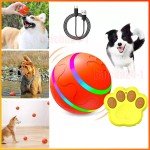 Interactive LED Remote Control Dog Ball Toy