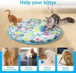 Interactive Rolling Ball Toy for Dogs