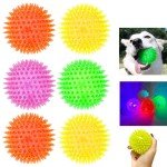 6 Pack Bright Squeaky Chew Balls for Dogs