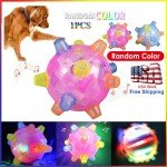 LED Flashing Dance Ball for Active Dogs