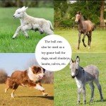 Large Anti-Burst Horse Exercise Ball Toy