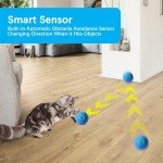 Interactive Rolling Ball Toy for Dogs