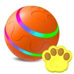 Interactive LED Remote Control Dog Ball Toy