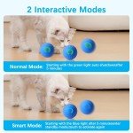 Interactive Rolling Ball Toy for Dogs