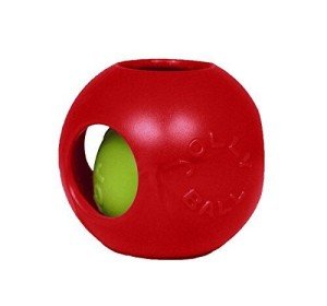 Medium Red Teaser Ball Dog Toy, 6 Inches