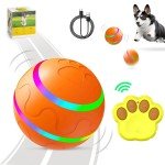 Interactive LED Remote Control Dog Ball Toy