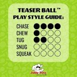 Medium Red Teaser Ball Dog Toy, 6 Inches