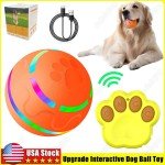 Interactive LED Remote Control Dog Ball Toy