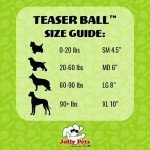 Medium Red Teaser Ball Dog Toy, 6 Inches