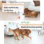 Interactive LED Remote Control Dog Ball Toy