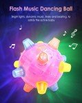LED Flashing Dance Ball for Active Dogs