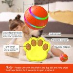 Interactive LED Remote Control Dog Ball Toy