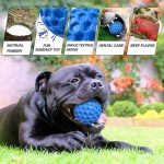 Durable Interactive Ball Toy for Large Dogs