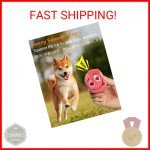 Squeaky Plush Balls Dog Toys - 6 Pack