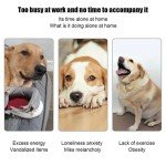 Interactive Automatic Ball Launcher for Dogs