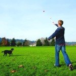 Chuckit! 26-Inch Ball Launcher for Medium Dogs