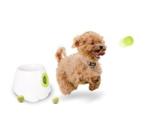 Automatic Dog Ball Launcher for Endless Fun