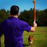 Chuckit! Pro Ball Launcher with Ball for Dogs