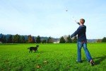 Chuckit! 12-Inch Pocket Ball Launcher for Dogs