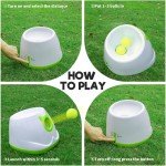 Portable Automatic Ball Launcher with 6 Balls