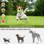 Automatic Dog Ball Launcher for Small Dogs