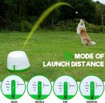 Portable Automatic Ball Launcher with 6 Balls