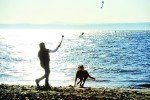 Chuckit! Pro Ball Launcher with Fetch Ball