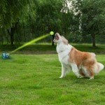 Adjustable Dog Toy Ball Launcher with 6 Balls