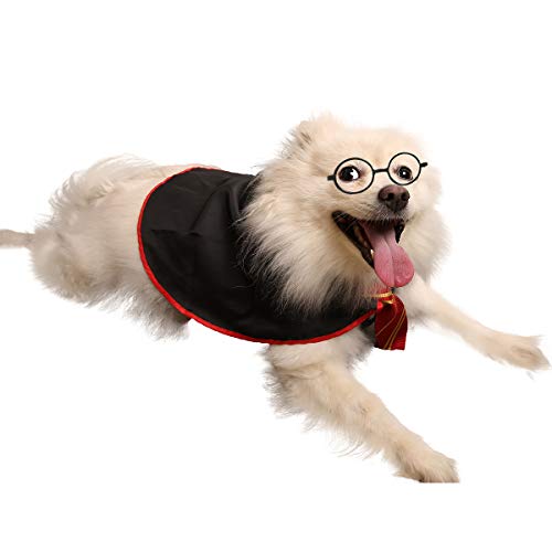 Wizard Dog & Cat Costume with Glasses