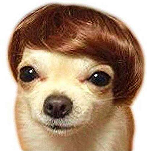 Synthetic Dog and Cat Wig Costume Headwear