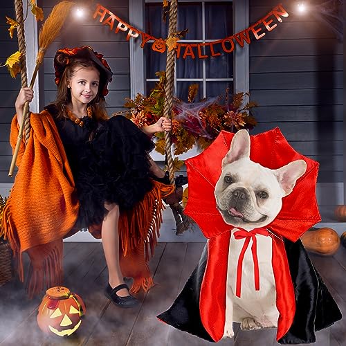 Vampire & Devil Dog Halloween Costume Cape