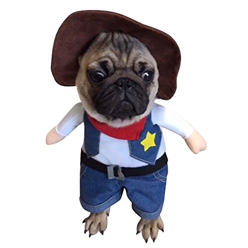Blue Cowboy Costume with Hat for Dogs & Cats