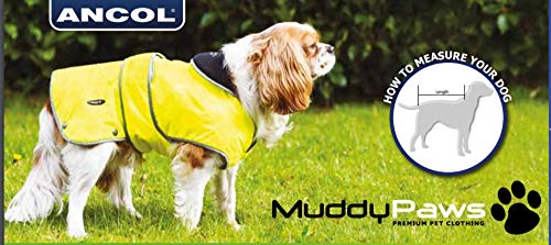 Ancol Tartan Dog Coat - Highland Style, Large