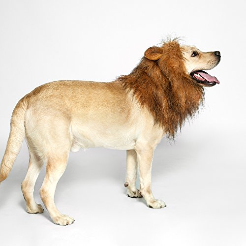Funny Lion Mane Wig for Medium to Large Dogs