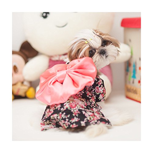 Japanese Kimono Dog Costume for Halloween Fun