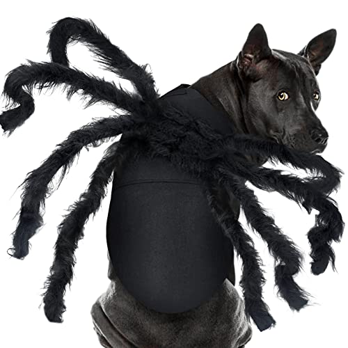 Giant Furry Spider Pet Costume for Halloween