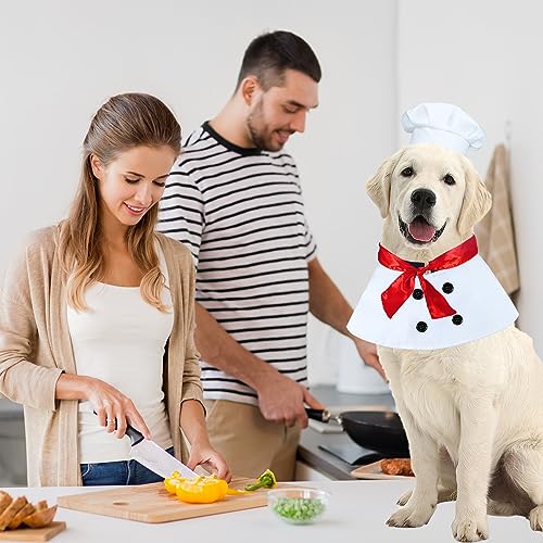 Dog Chef Halloween Costume with Hat & Scarf