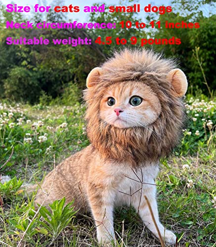 Adjustable Cat Lion Mane Wig Costume - Brown