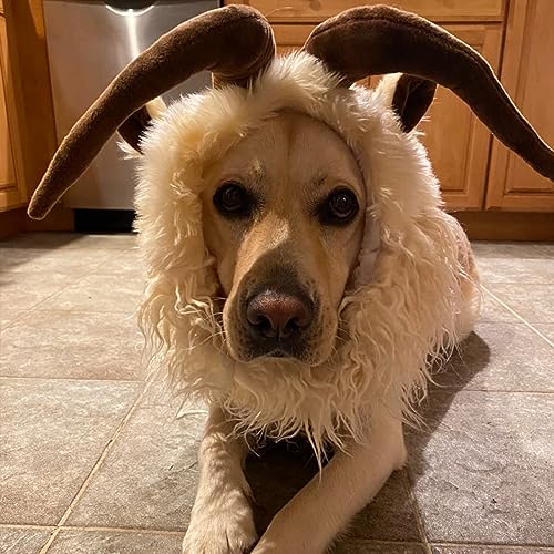 Funny Reindeer Moose Costume for Dogs - Size L