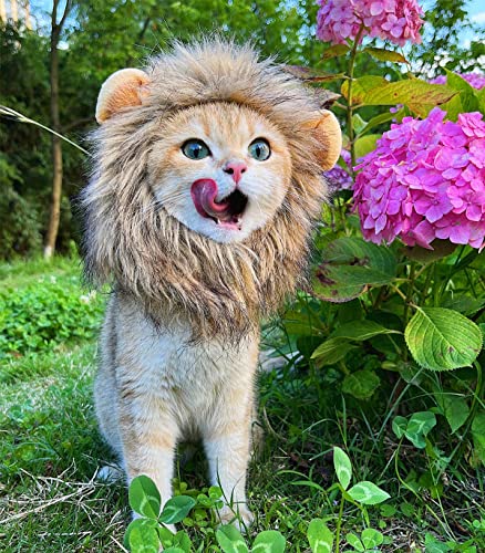 Adjustable Cat Lion Mane Wig Costume - Brown