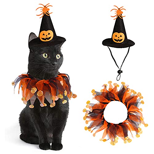Witch Cat Costume with Tutu and Pumpkin Hat