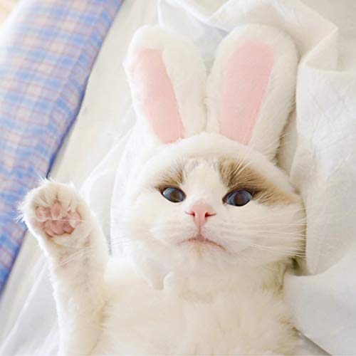 Cute Bunny Rabbit Hat for Cats & Small Dogs