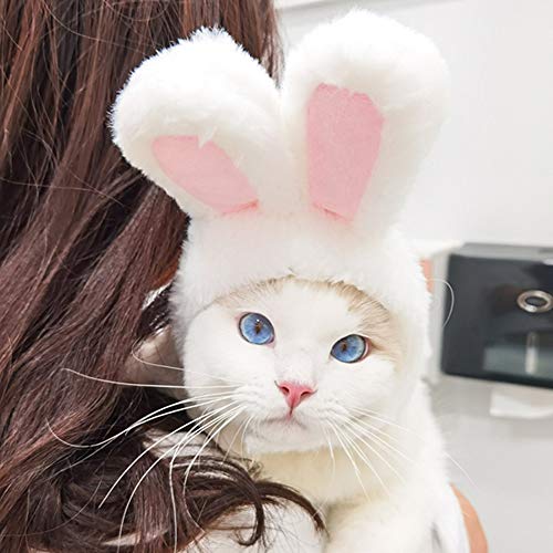 Cute Bunny Rabbit Hat for Cats & Small Dogs