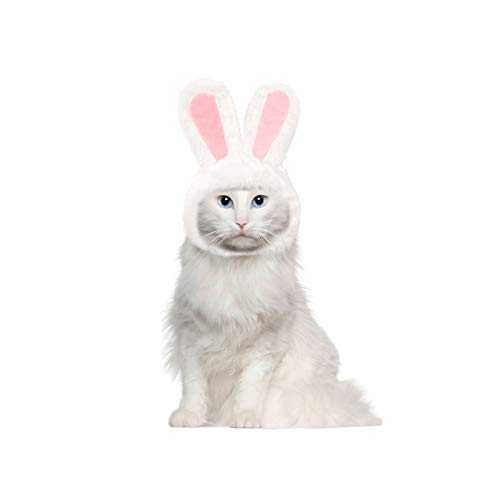 Cute Bunny Rabbit Hat for Cats & Small Dogs