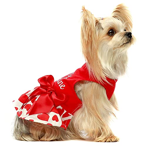 Valentine’s Day Be My Pawlentines Pet Dress